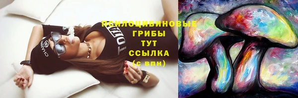 тгк Пересвет