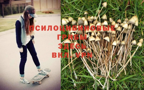метамфетамин Пестово