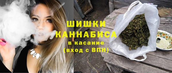 тгк Пересвет