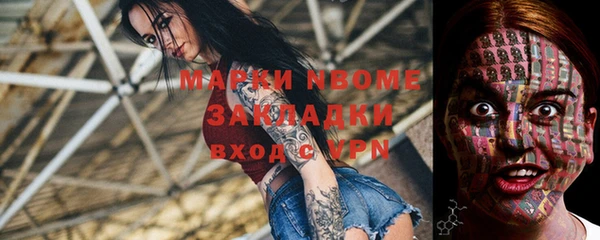 тгк Пересвет