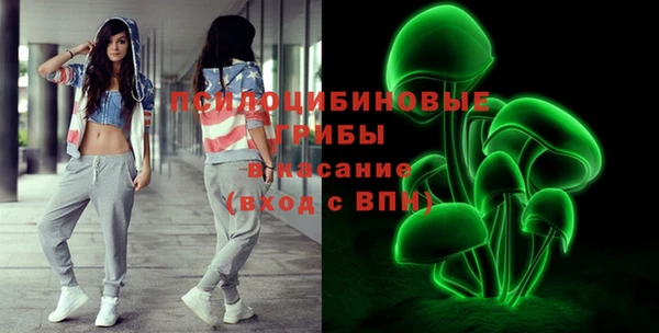 тгк Пересвет