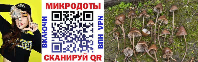 Псилоцибиновые грибы мицелий  omg вход  Артёмовский 